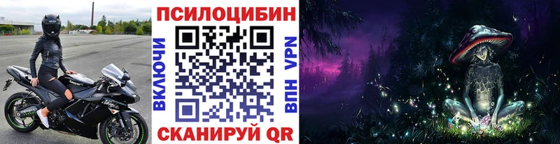 кракен зеркало  наркотики  Нурлат  это формула  Псилоцибиновые грибы Psilocybine cubensis 